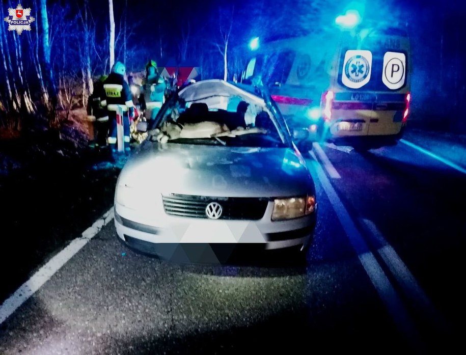 Zderzenie auta z sarną /Policja Lubelska /Policja