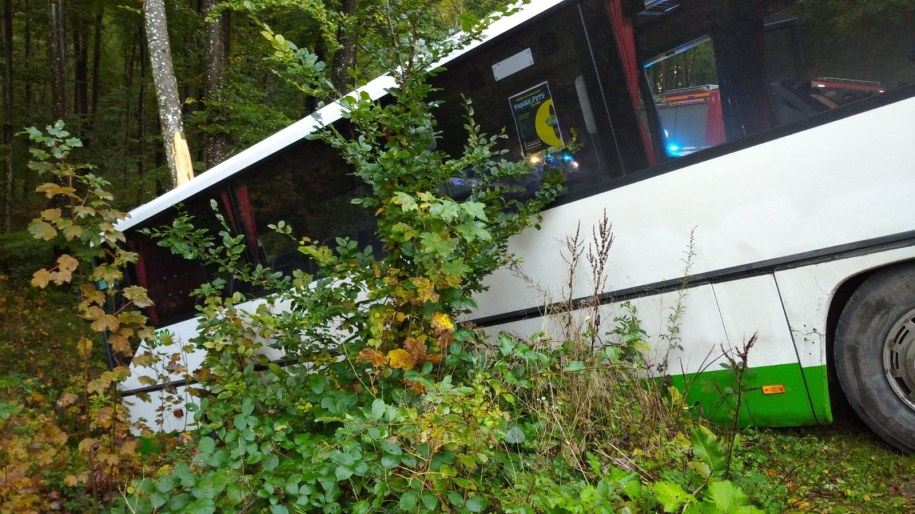 Zderzenie autobusu z ciężarówką na drodze między Leśniewem a Darzlubiem /KP PSP Puck /