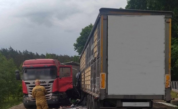 Zderzenie ciężarówek, jeden z kierowców zginął