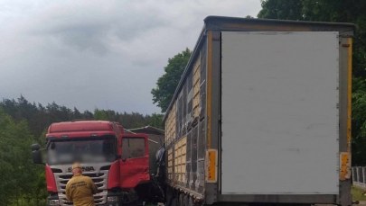 Zderzenie ciężarówek, jeden z kierowców zginął