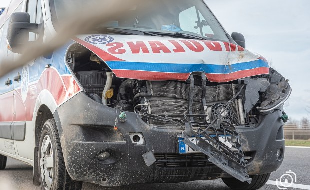 Zderzenie karetki na sygnale z sarną w Tarnowie
