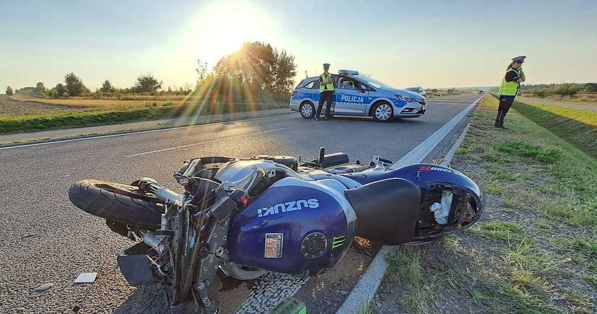 Zderzenie motocyklisty z łosiem na obwodnicy Kraśnika /Policja