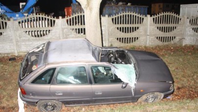 Zderzenie osobówki z łosiem. Kierowca w szpitalu 