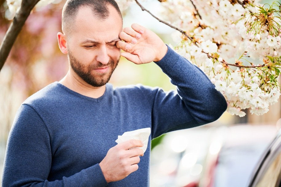 zdj. ilustracyjne/Alergia czy zwykły katarek? Sprawdź, kiedy zacząć odczulanie i nie daj się wiosennym pyłkom! /Shutterstock
