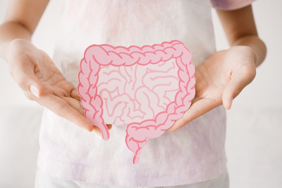 zdj. ilustracyjne / Co wpływa na zdrowie naszych jelit? /Shutterstock