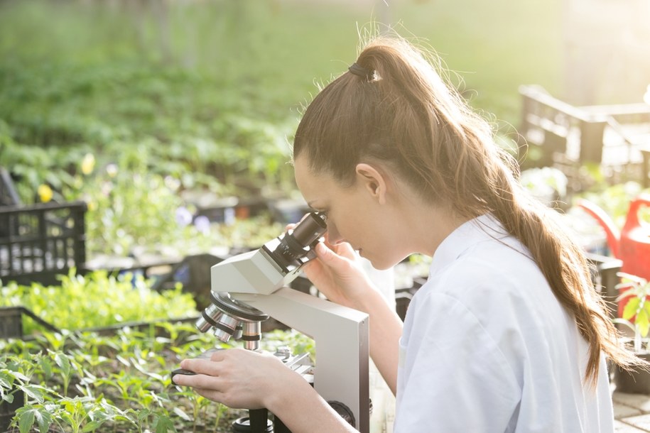 zdj. ilustracyjne / Gdy zawodzą terapie standardowo stosowane w medycynie, natura może skutecznie pomóc /Shutterstock