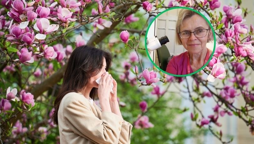 zdj. ilustracyjne / Najnowszą prognozę dla alergików przygotowała ekspertka z Krakowskiej Stacji Monitoringu Aerobiologicznego Collegium Medicum Uniwersytetu Jagiellońskiego /Shutterstock