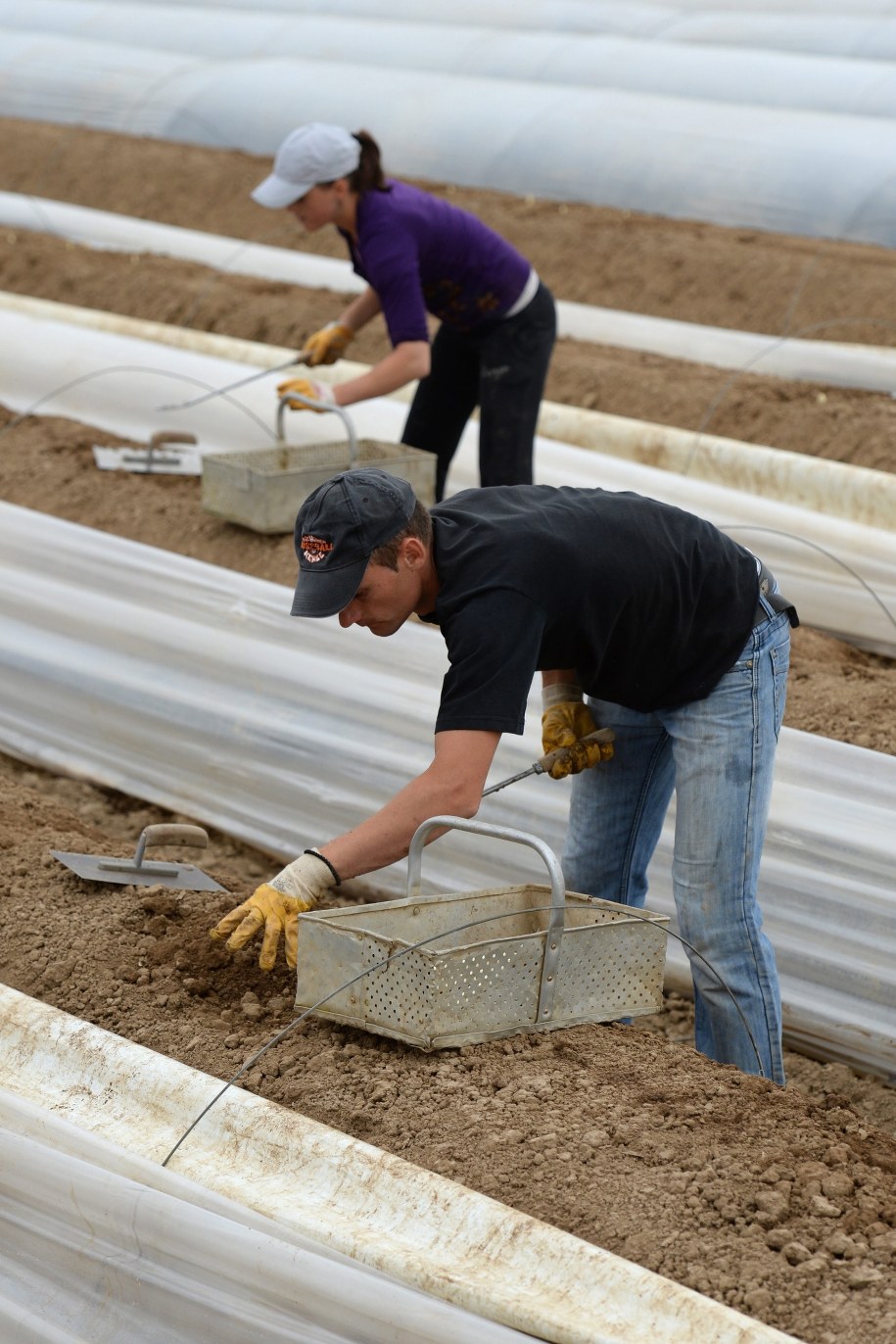 Dokonali samosądu na Polakach. Jest wyrok