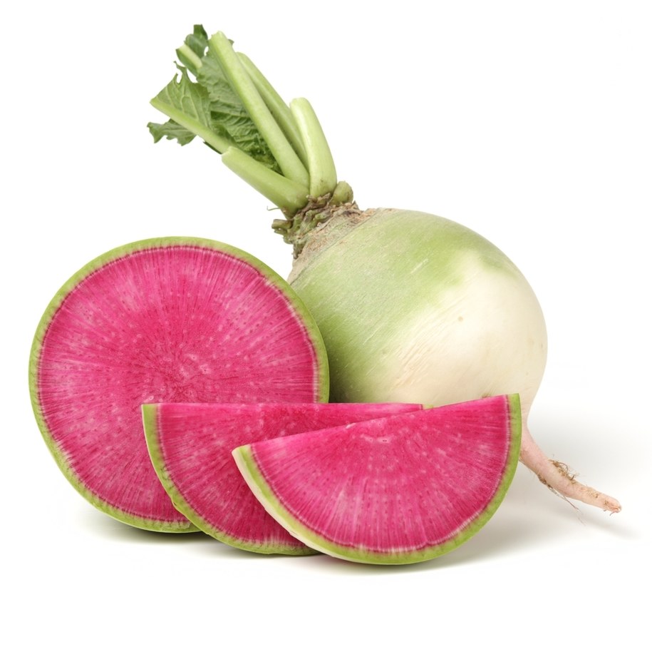 zdj. ilustracyjne/ rzodkiewka arbuzowa /Shutterstock