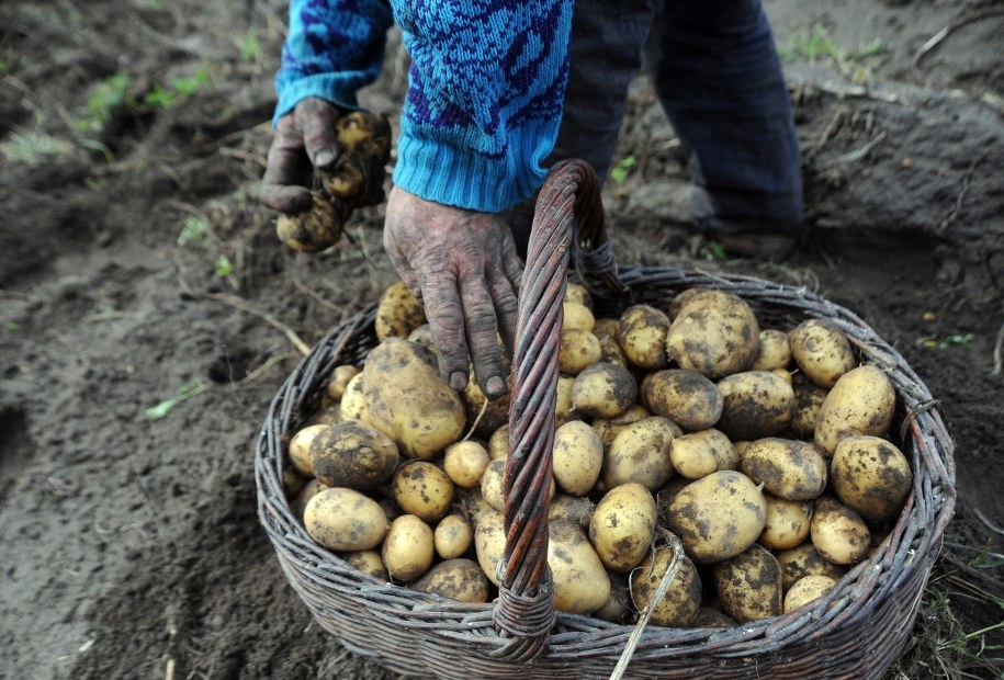 Rosyjski ekspert: Jedna trzecia Rosjan nie dojada