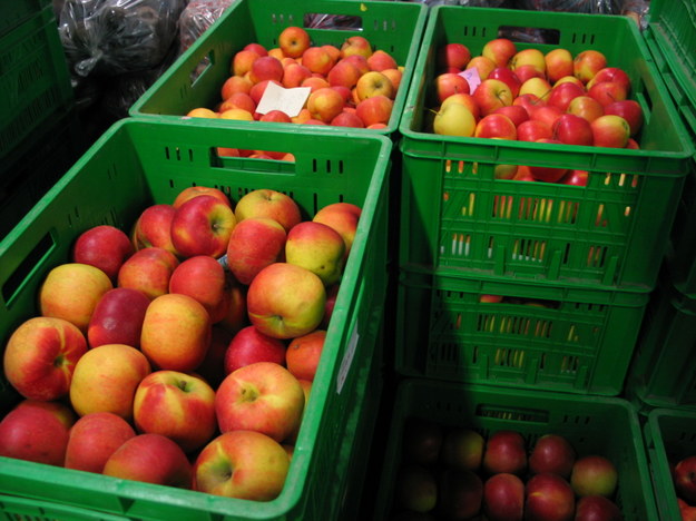 Będzie nowy nabór wniosków na wycofanie owoców z rynku