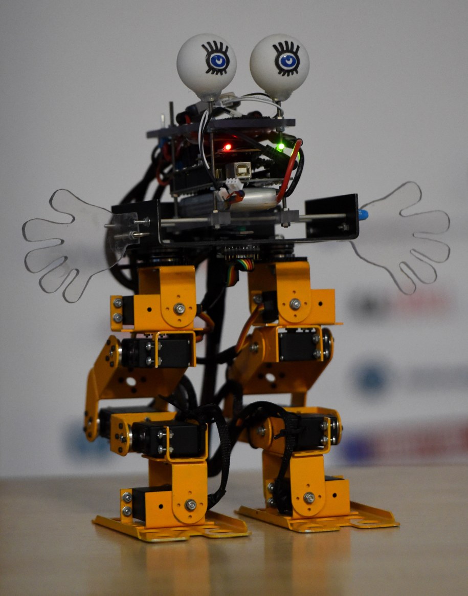 Robot w zakupach pomoże. To już nie science-fiction!