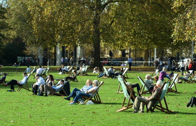 To nie to białko! Inna przyczyna Alzheimera