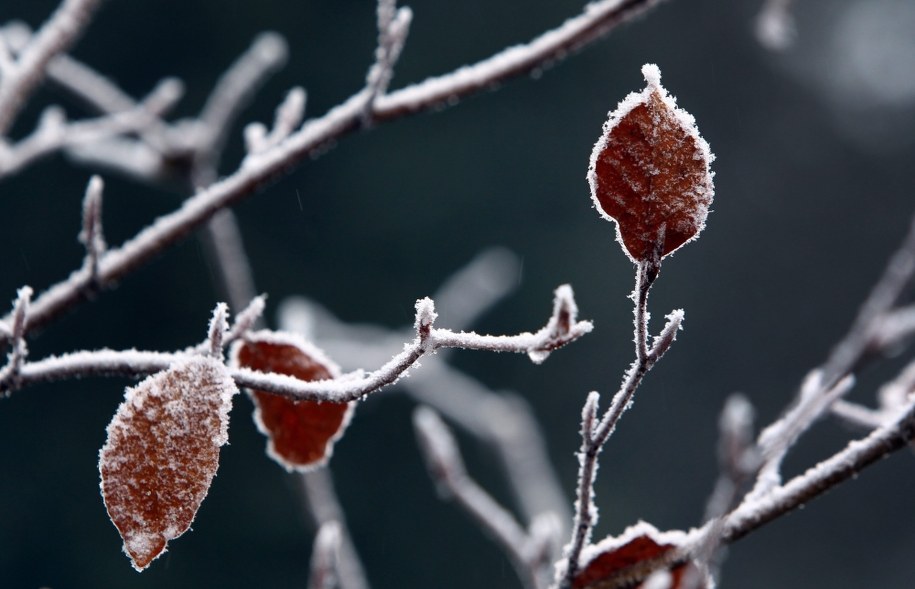Prognoza pogody na najbliższe dni