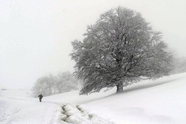 Prognoza: Śnieg, deszcz i... halny