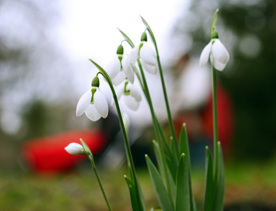 Prognozy pogody na sylwestra i Nowy Rok