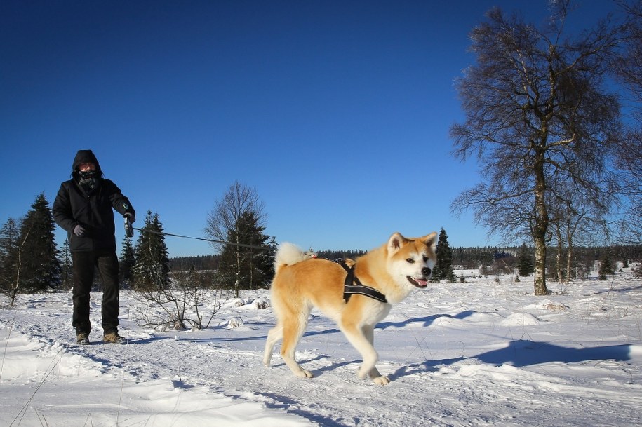 Prognoza na sylwestra i Nowy Rok: Macie dość śniegu? Cieplej już w czwartek