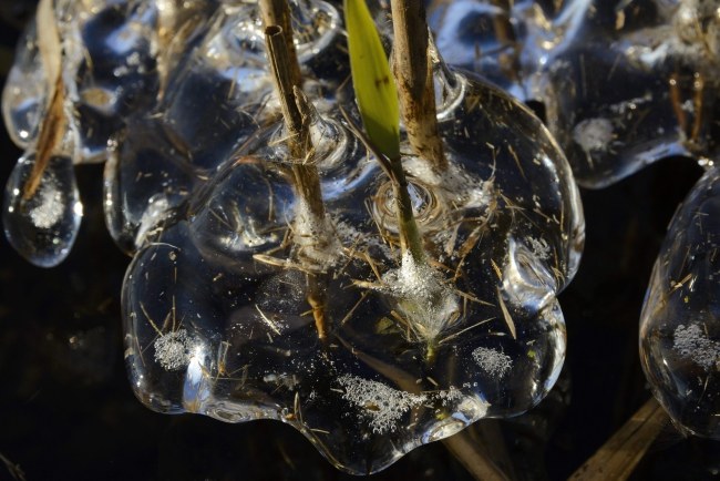 Prognoza pogody na nowy rok. Będzie cieplej