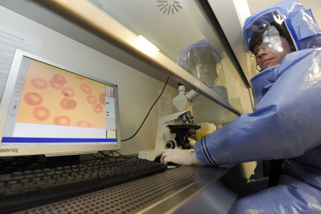 Nowy bilans epidemii eboli. Już ponad 8 tys. ofiar