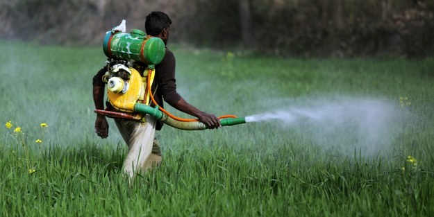 „Popularne pestycydy są prawdopodobnie rakotwórcze"