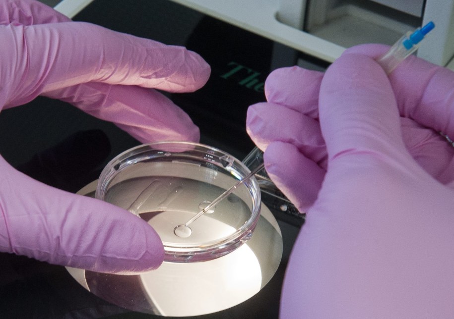 Komunia albo in vitro. Biskupi ostrzegają posłów