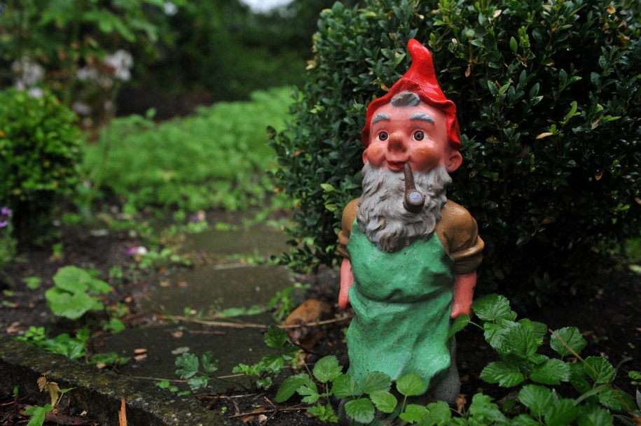 Twierdzą, że spotkali elfy i wróżki