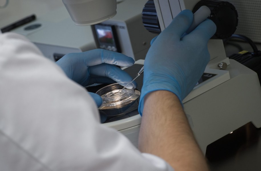 Dwa projekty ws. in vitro - do dalszych prac