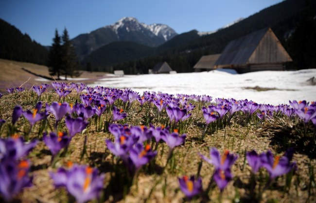 Prognoza pogody na długi majowy weekend