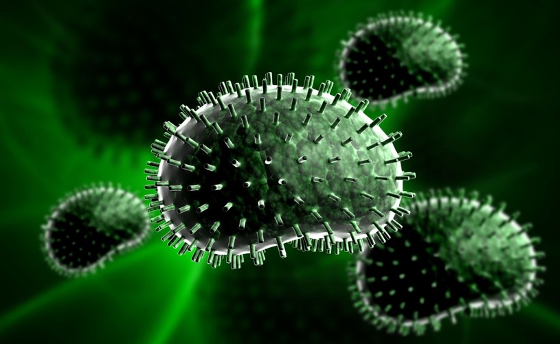Mazowsze Niepodziewanie Zdiagnozowano Wirus Grypy Wydarzenia W Interiapl 8095