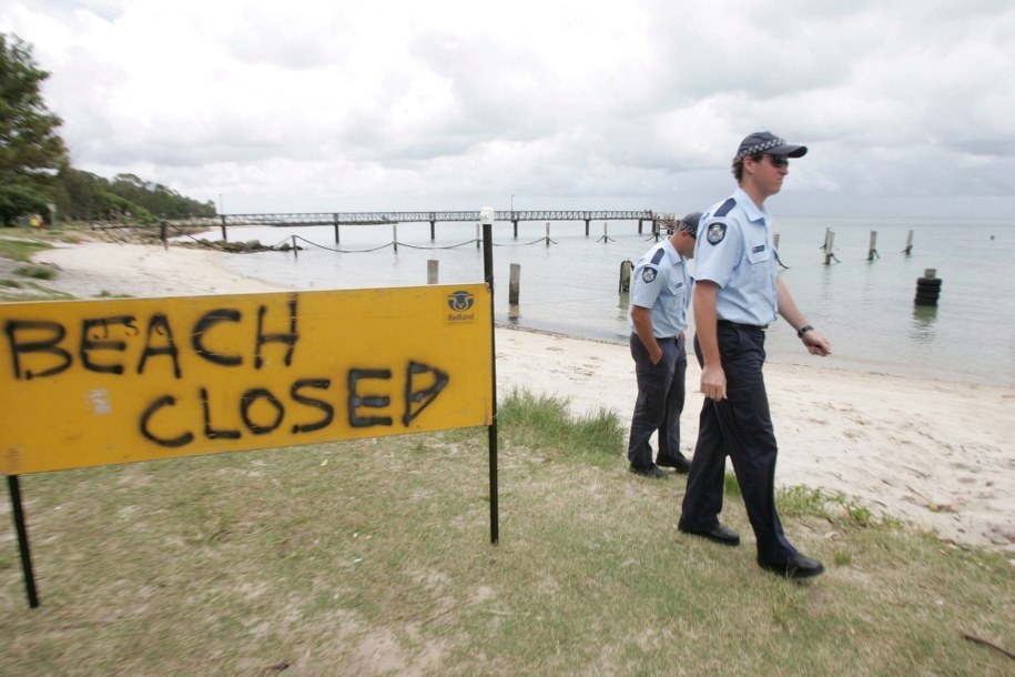 Rekiny zaatakowały nastolatków. Chłopak stracił rękę