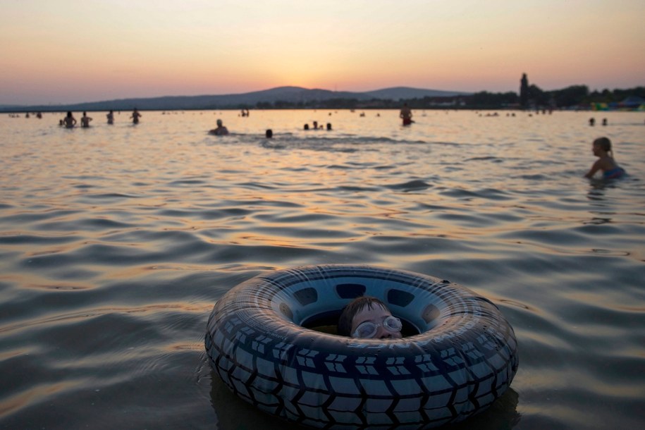 Rekiny sieją panikę. Ludzie boją się kąpać