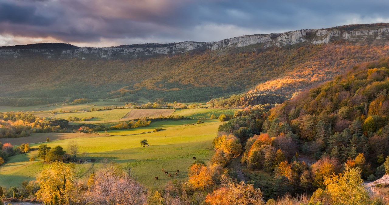 Zdj. ilustracyjne /123RF/PICSEL