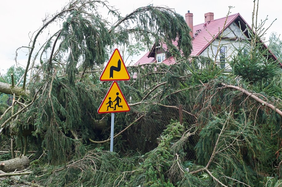 Kontrole po tragedii w Suszku: Przeniesiono dwa obozy wypoczynkowe dla dzieci