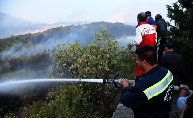 Czarnogóra: Polak zatrzymany w związku z pożarem lasu