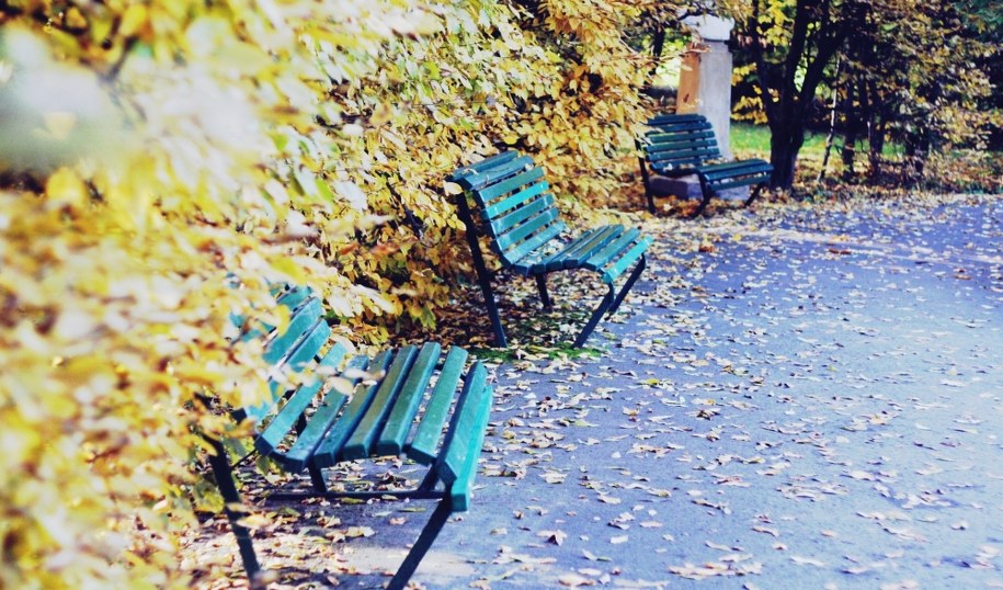 Prognoza pogody: Przed nami ciepły weekend bez deszczu