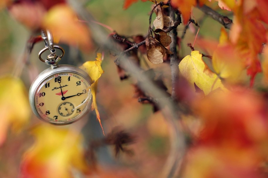 Zmiana czasu odłożona. Sejm na razie nie zajmie się pomysłem PSL-u