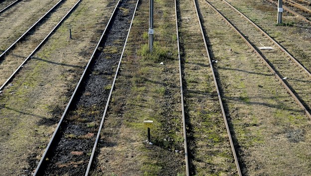 Ziębice: Pociąg potrącił 27-latka. W mieszkaniu znaleziono ciało jego matki i ranną siostrę