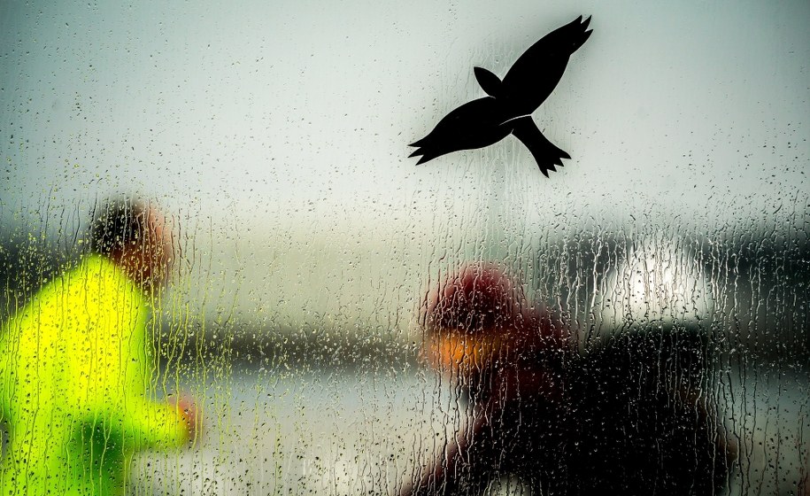 Prognoza pogody na najbliższe dni