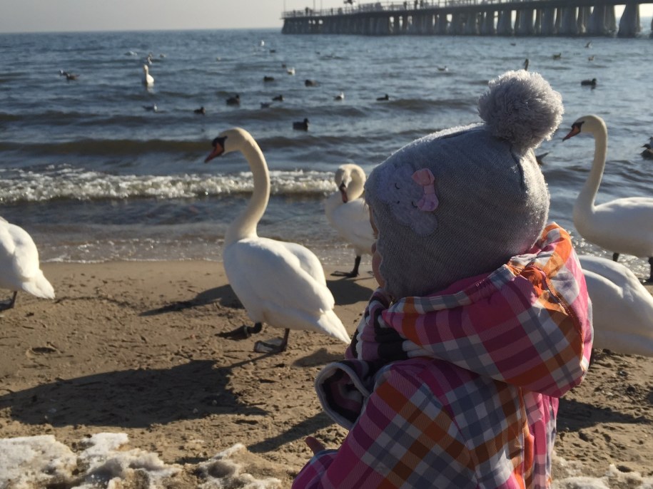 Litwini pozazdrościli nam 500+. Płacą 30 euro na dziecko