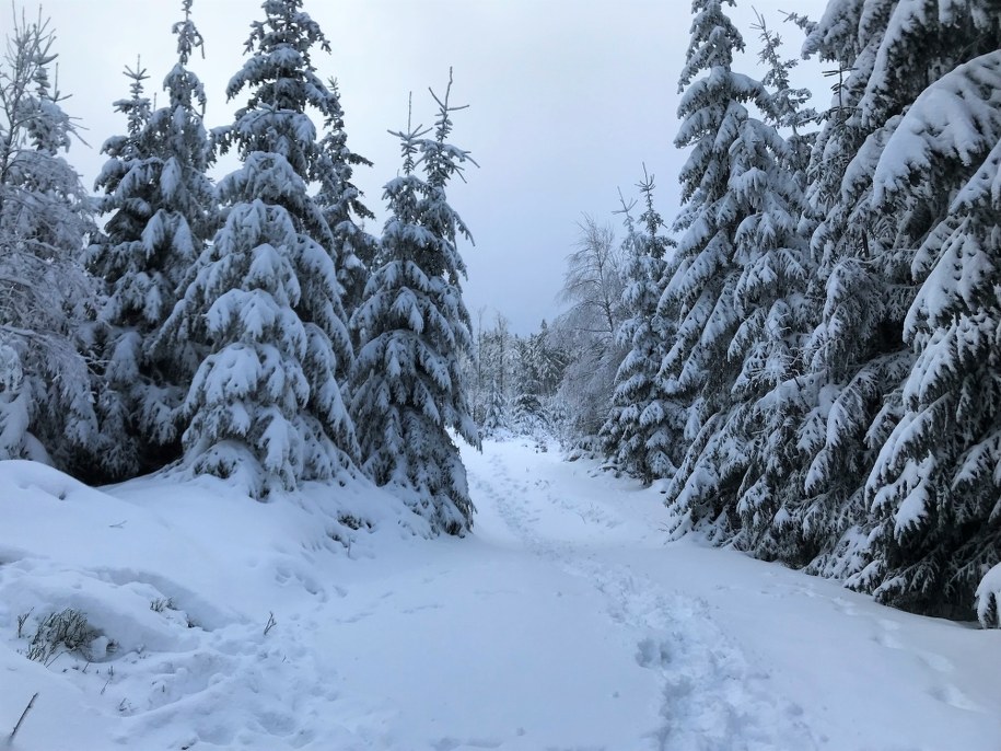 Wraca zima. Wieczorem zacznie sypać śnieg