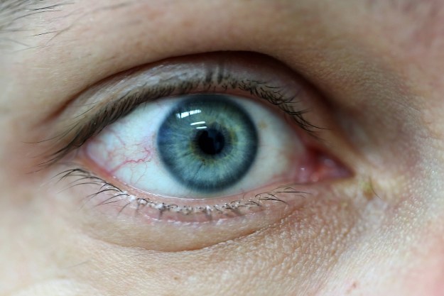 Zdj. ilustracyjne /EPA/Marko Mrkonjic/PIXSELL /PAP