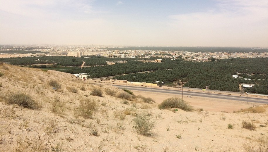 Arabia Saudyjska nie potwierdza zgody na zwiększenie wydobycia ropy