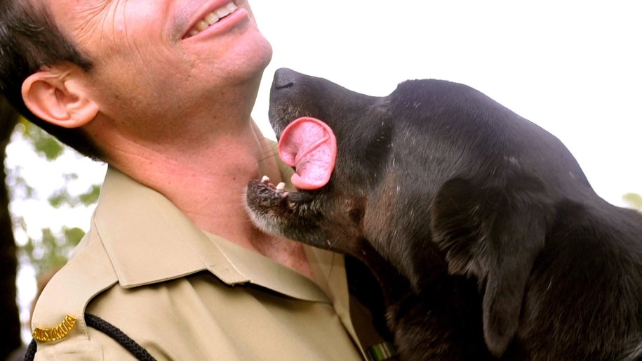 Amputowano mu dłonie i nogi, bo polizał go pies