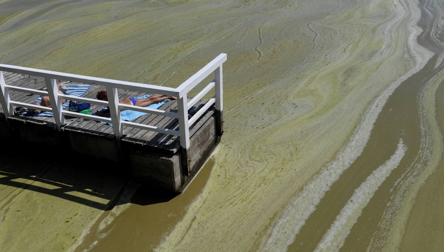Burza poskromiła sinice. Sytuacja na Pomorzu najlepsza od wielu dni