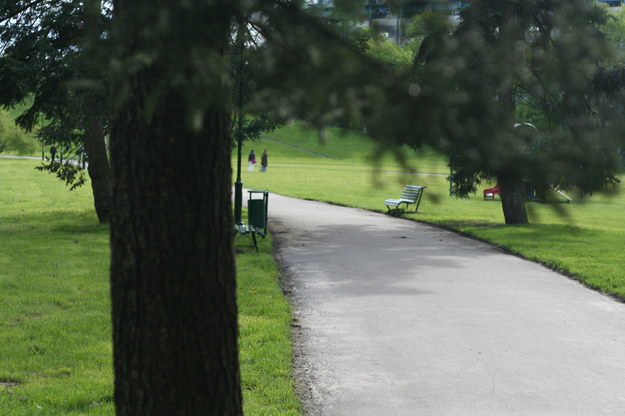 Warszawa: Śledztwo ws. wypadku w parku. Drzewo przewróciło się na matkę z dzieckiem