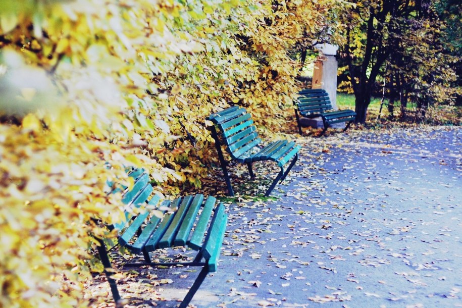 Prognoza pogody: To będzie piękny weekend!