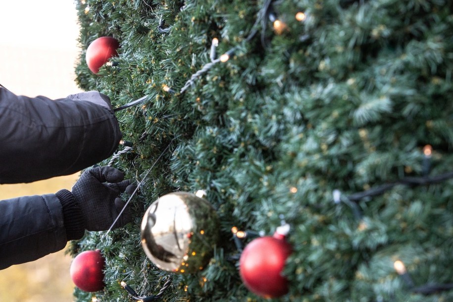 Kosztowana choinka stanie na Placu Weneckim. Rzymianie zapomną o "drapaku"?