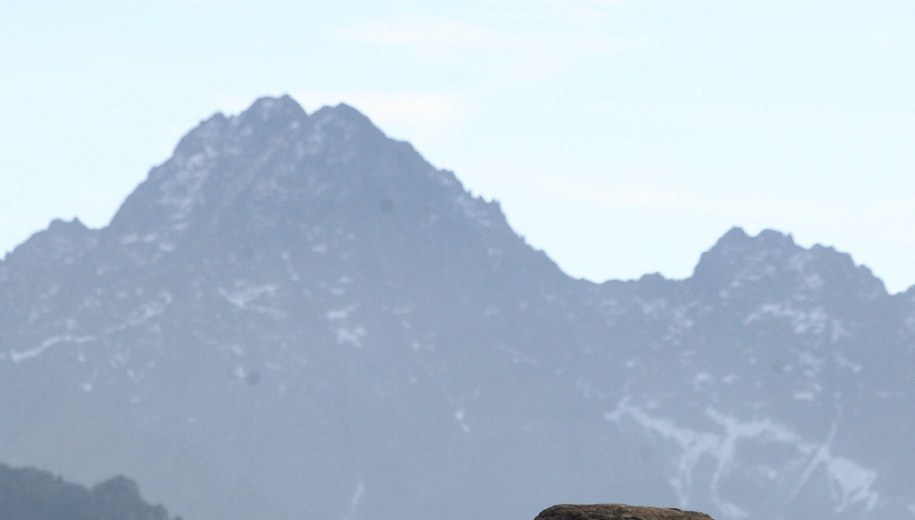 Lawina w Tatrach. Ewakuowano hotel górski pod Gerlachem