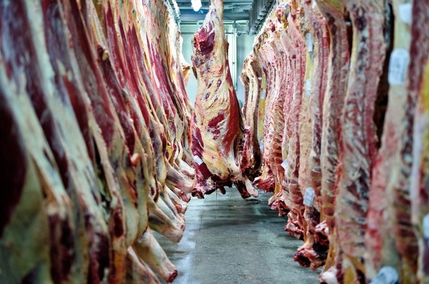 Do Szwecji trafiło podejrzane mięso z polskiej rzeźni