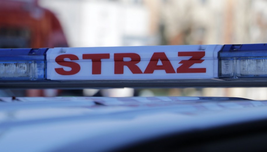 Kolejny pożar traw w Śląskiem. Spłonęło siedem aut